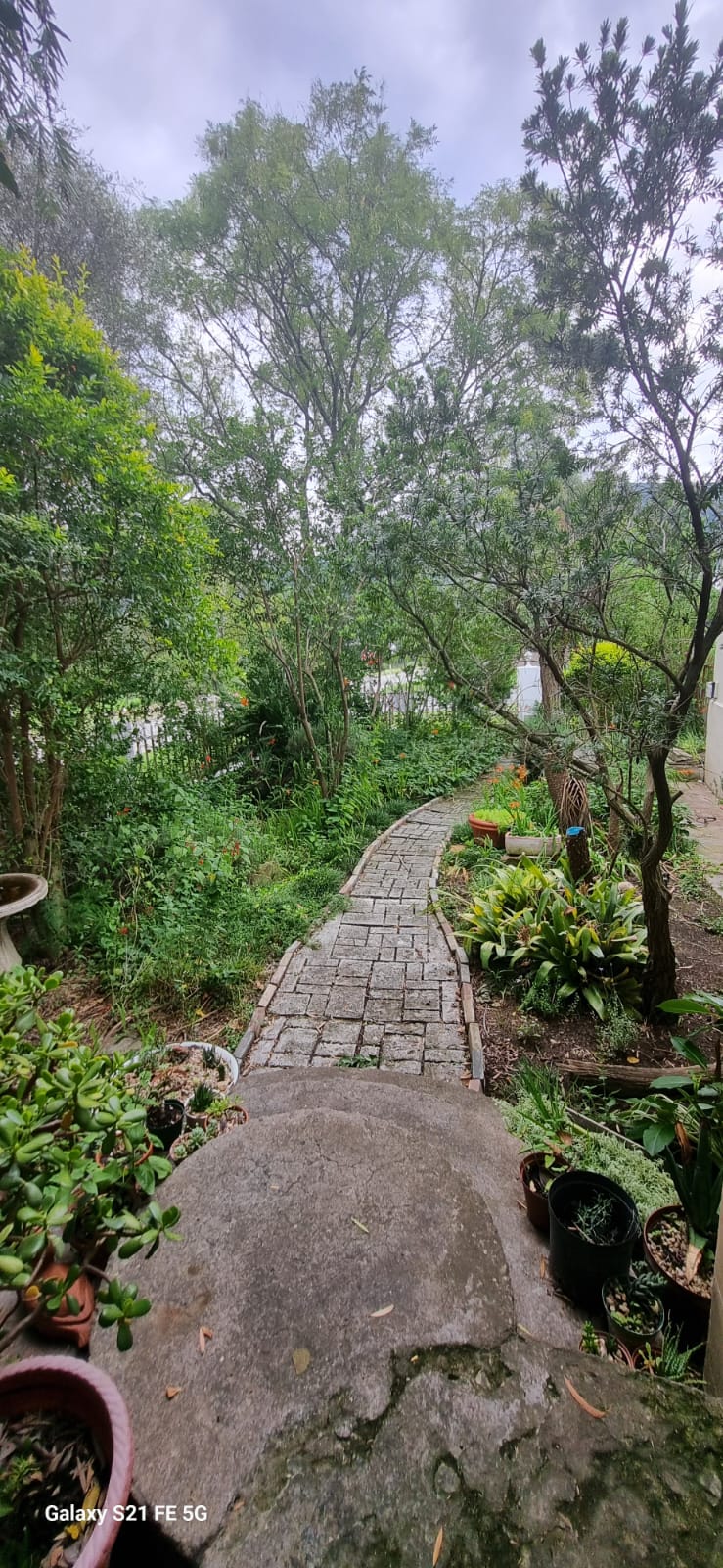 4 Bedroom Property for Sale in Somerset East Eastern Cape